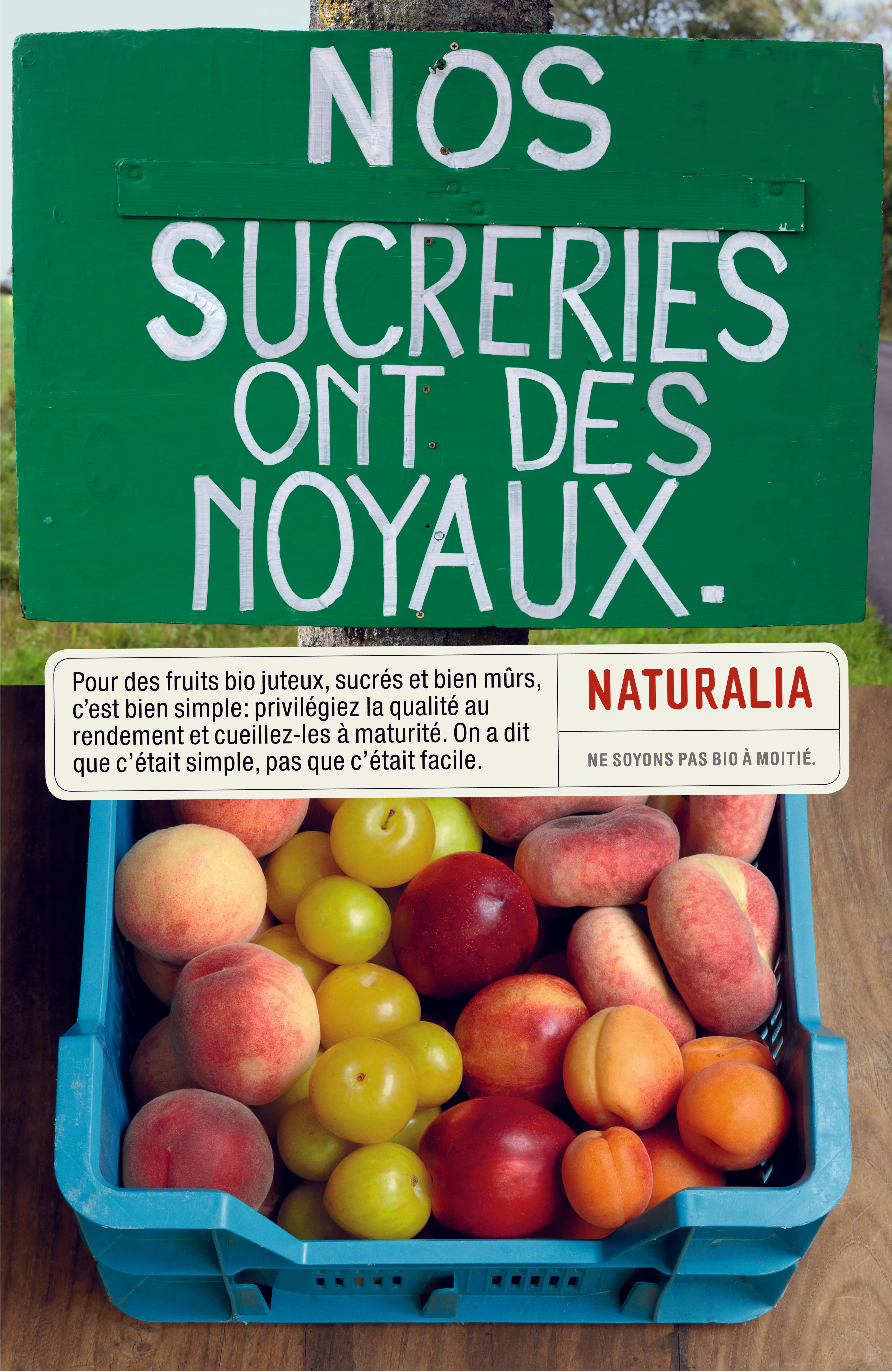 Naturalia - Fruits jaunes